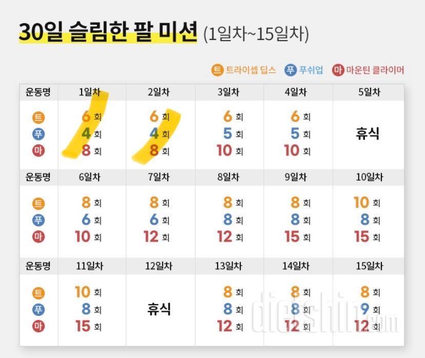 30일 슬림한 팔32일차 성공!