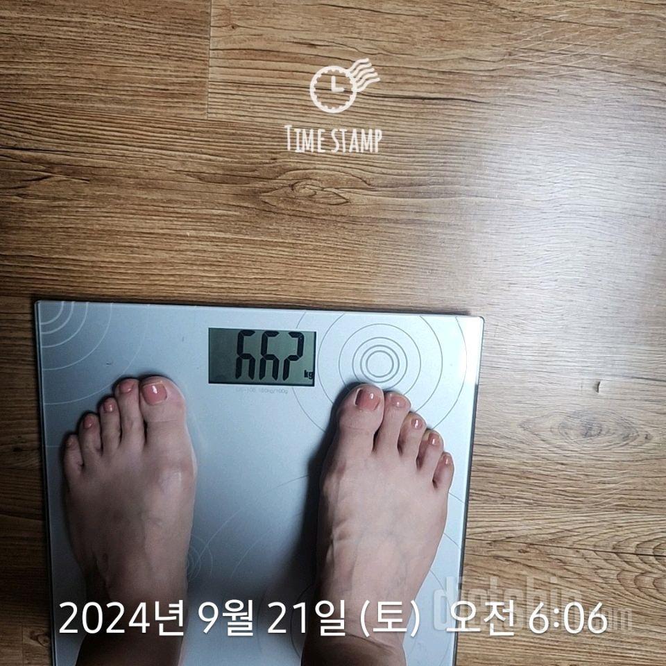 7일 아침 몸무게 재기267일차 성공!