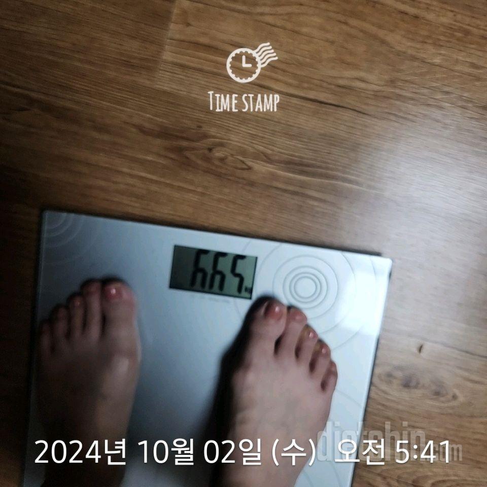 7일 아침 몸무게 재기278일차 성공!