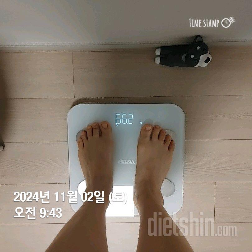 7일 아침 몸무게 재기4일차 성공!