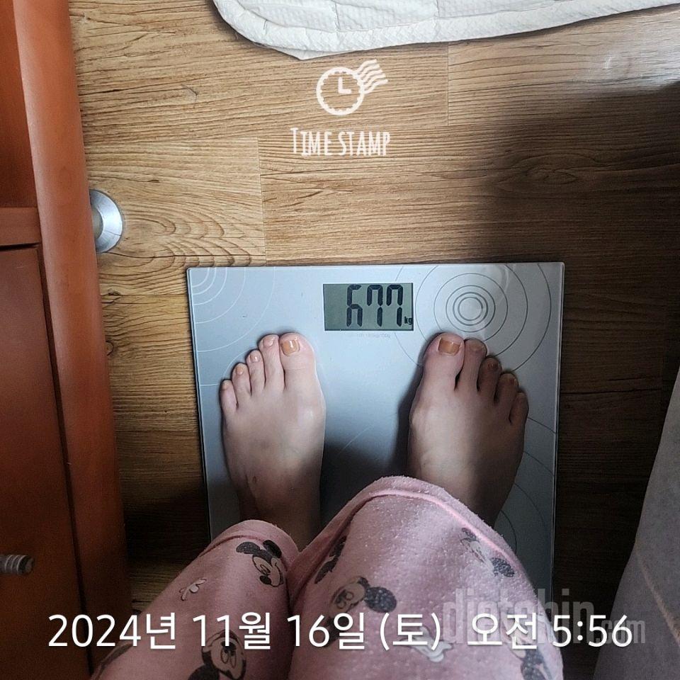 7일 아침 몸무게 재기311일차 성공!