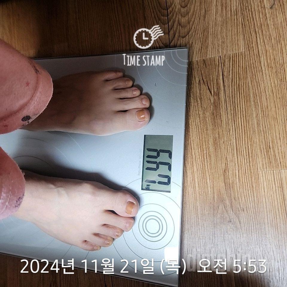 7일 아침 몸무게 재기316일차 성공!