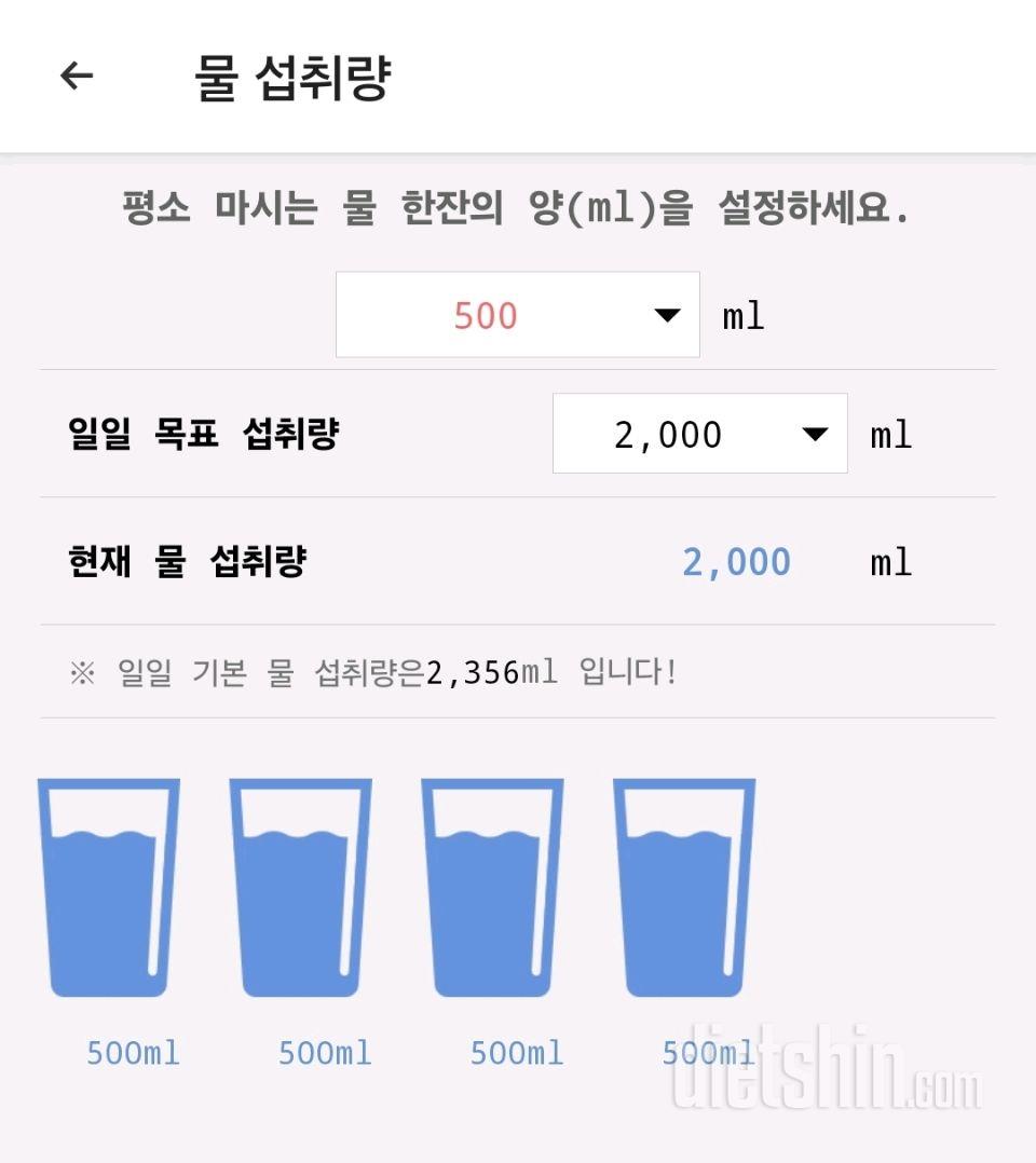 30일 하루 2L 물마시기3일차 성공!