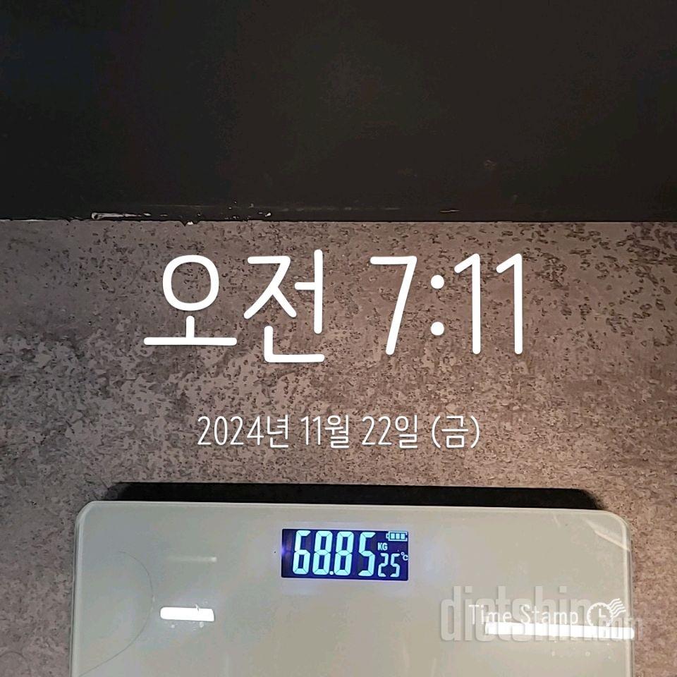 11/22 금요일