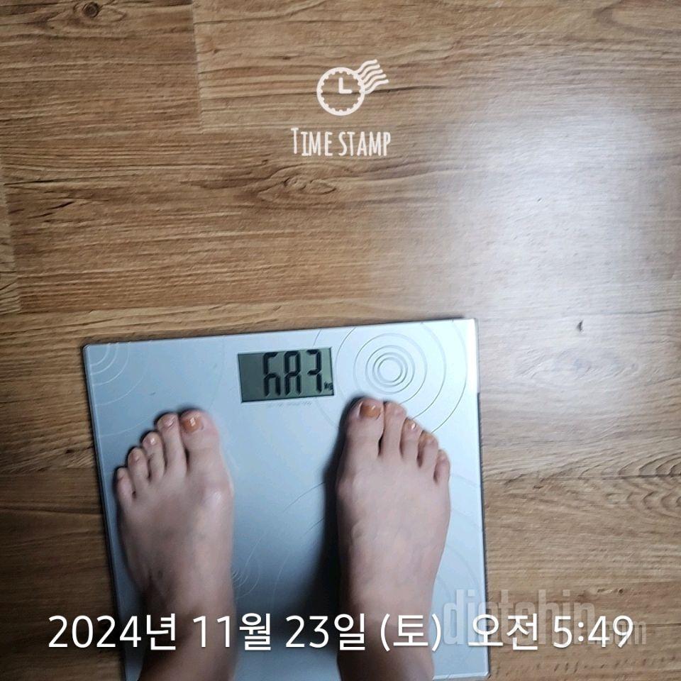 7일 아침 몸무게 재기318일차 성공!