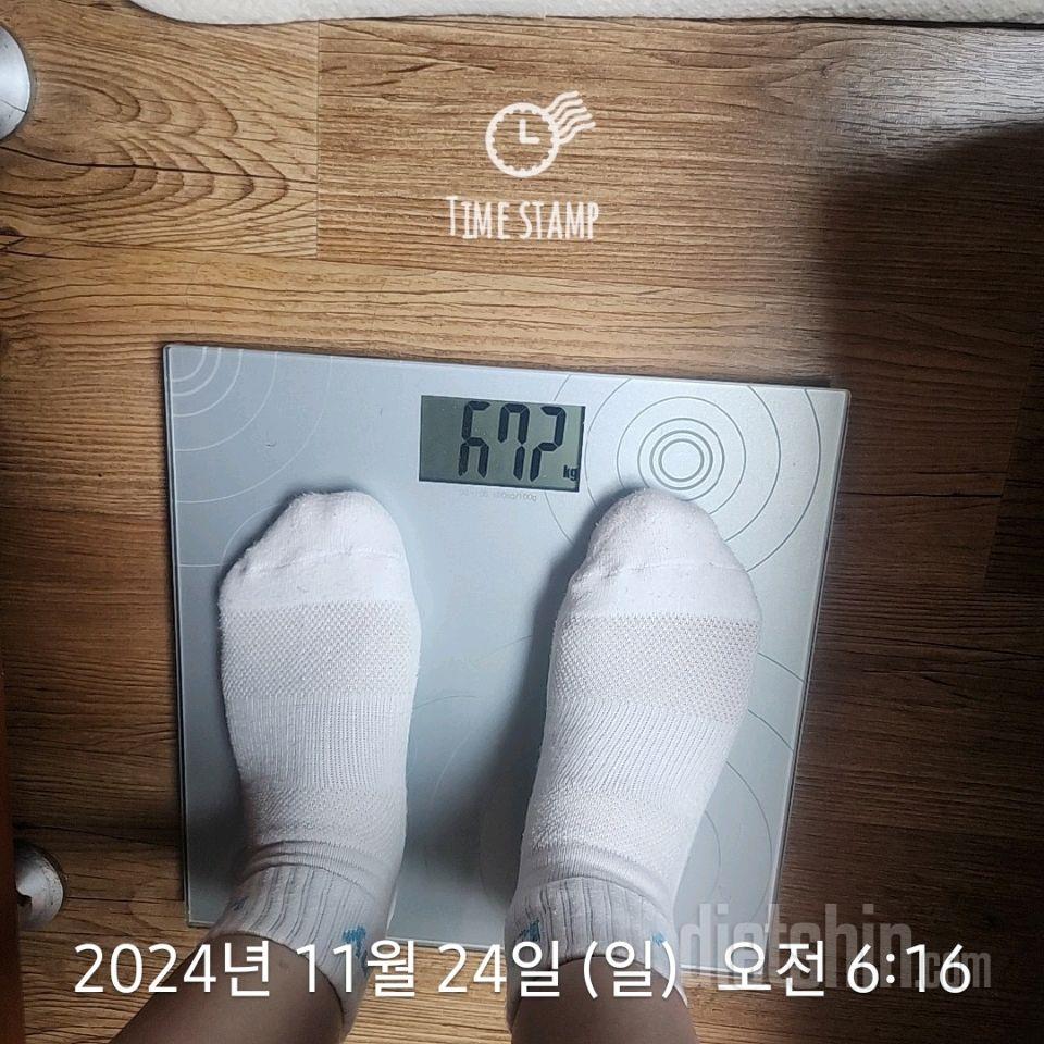 7일 아침 몸무게 재기319일차 성공!