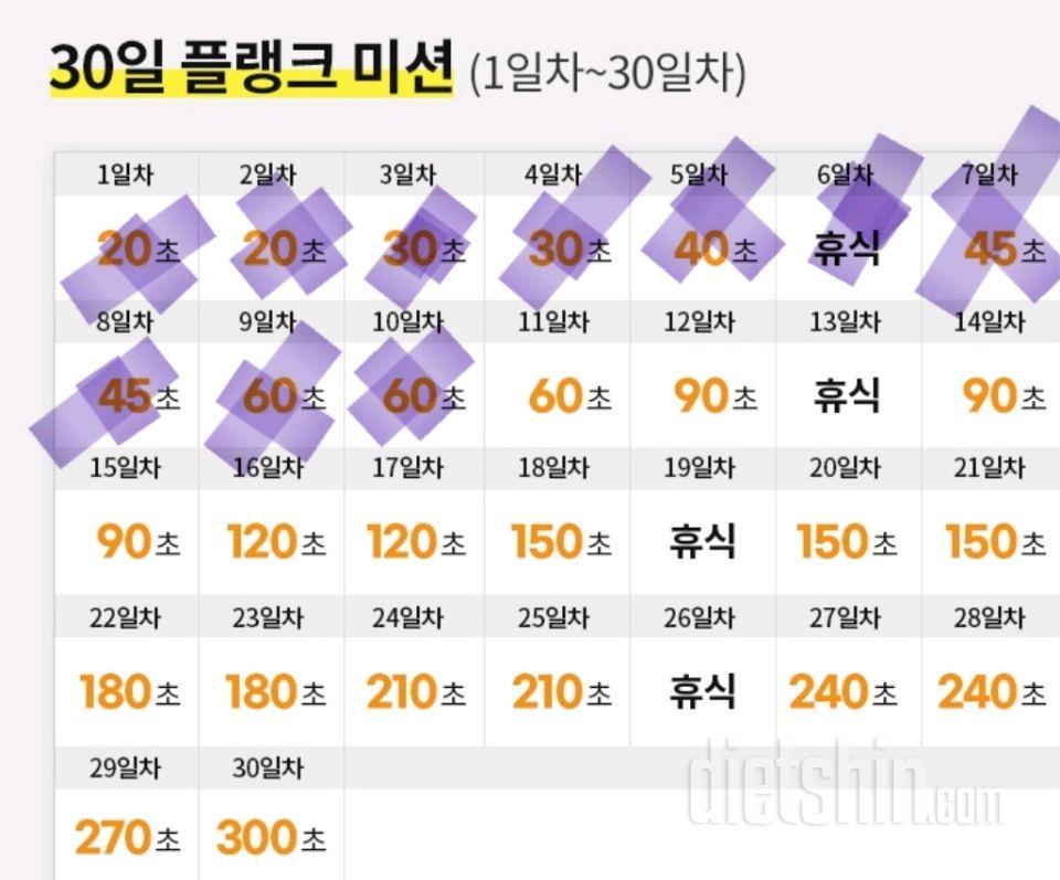 30일 플랭크10일차 성공!