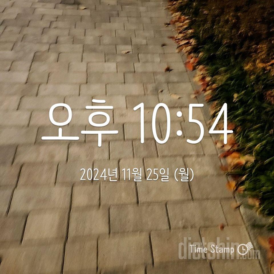 30일 만보 걷기1065일차 성공!