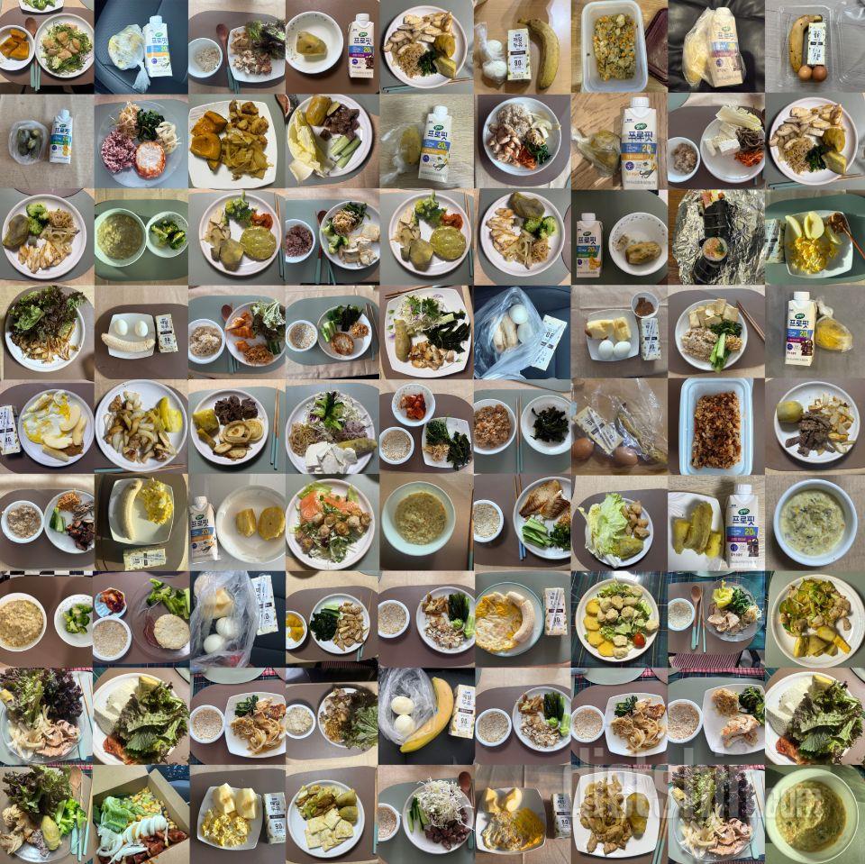 식단은 
아침- 사과반개 or 바나나