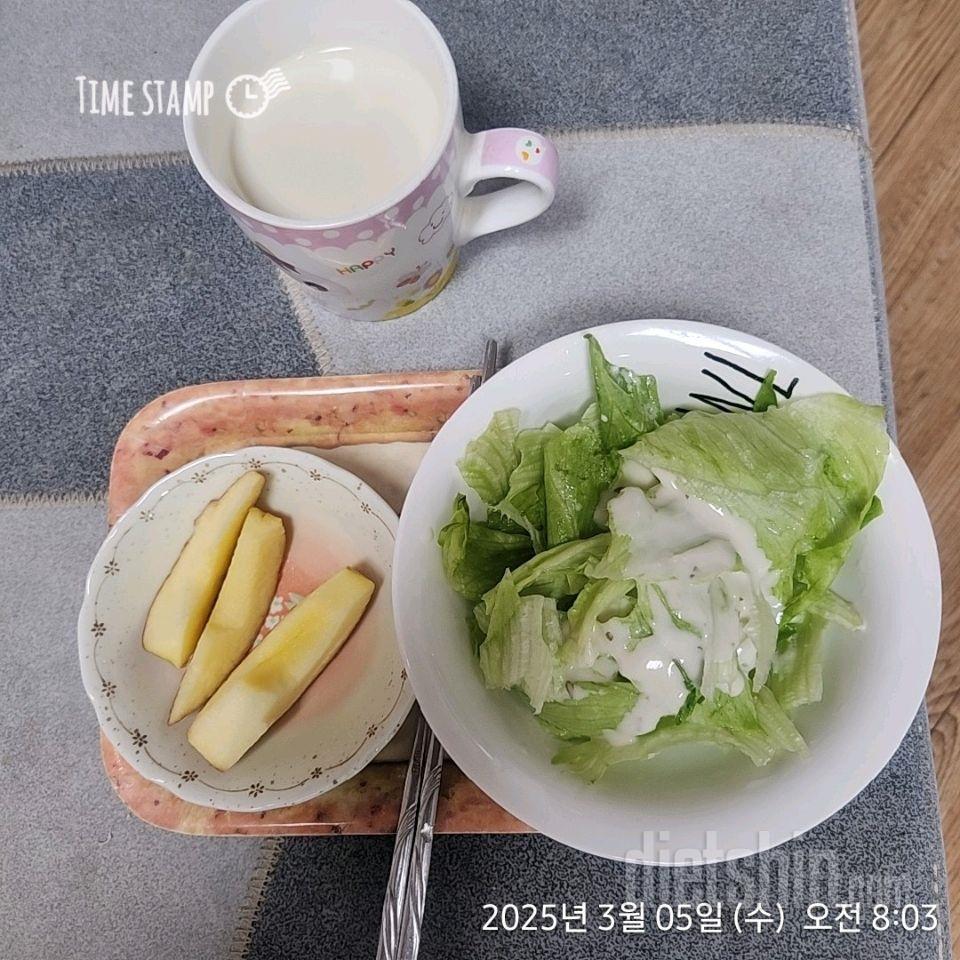 7일 하루 1끼 야채먹기376일차 성공!