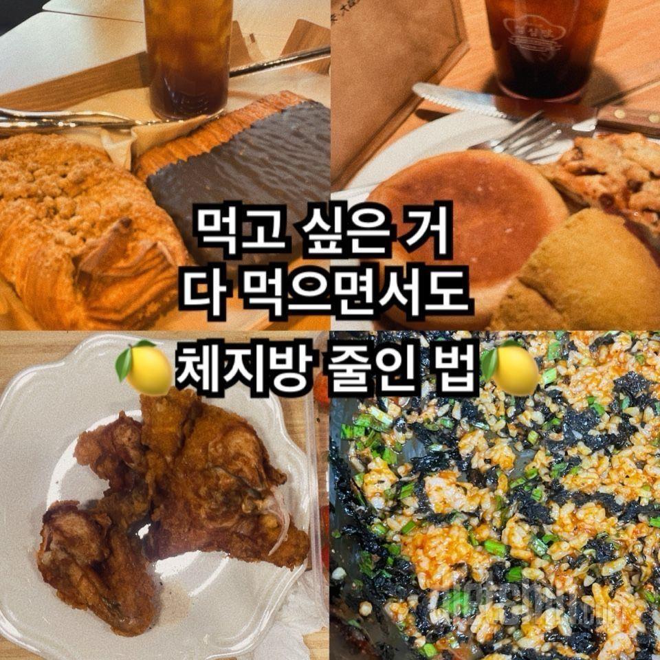 🍋폭식 절식 반복해서 죄책감에 힘든 사람들 주목!!🍋