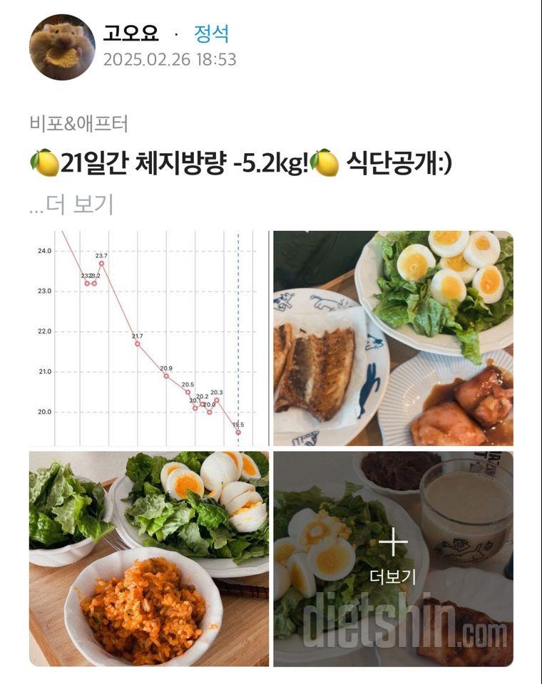 🍋폭식 절식 반복해서 죄책감에 힘든 사람들 주목!!🍋