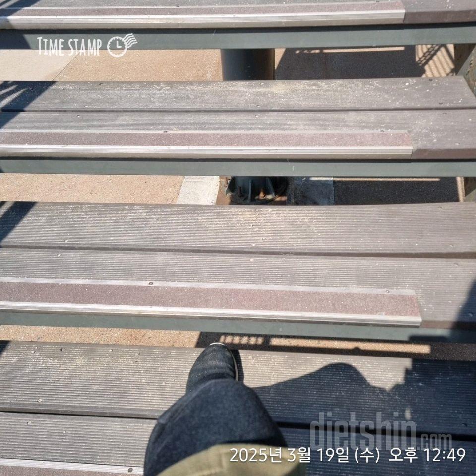 15일 계단 오르기4일차 성공!
