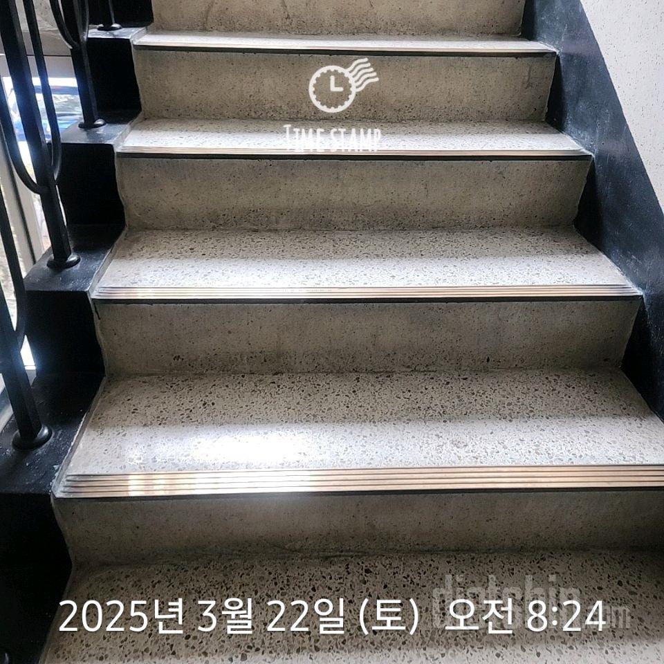 15일 계단 오르기203일차 성공!