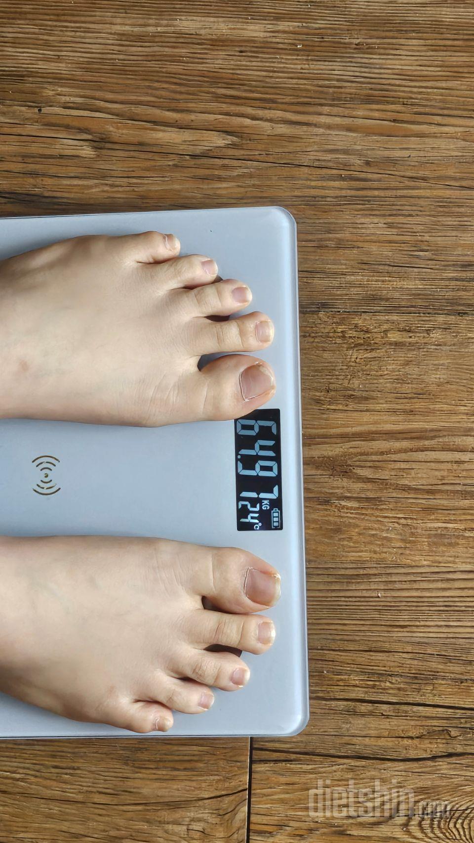 정체기 스트레스로 이것저것 해보고 있