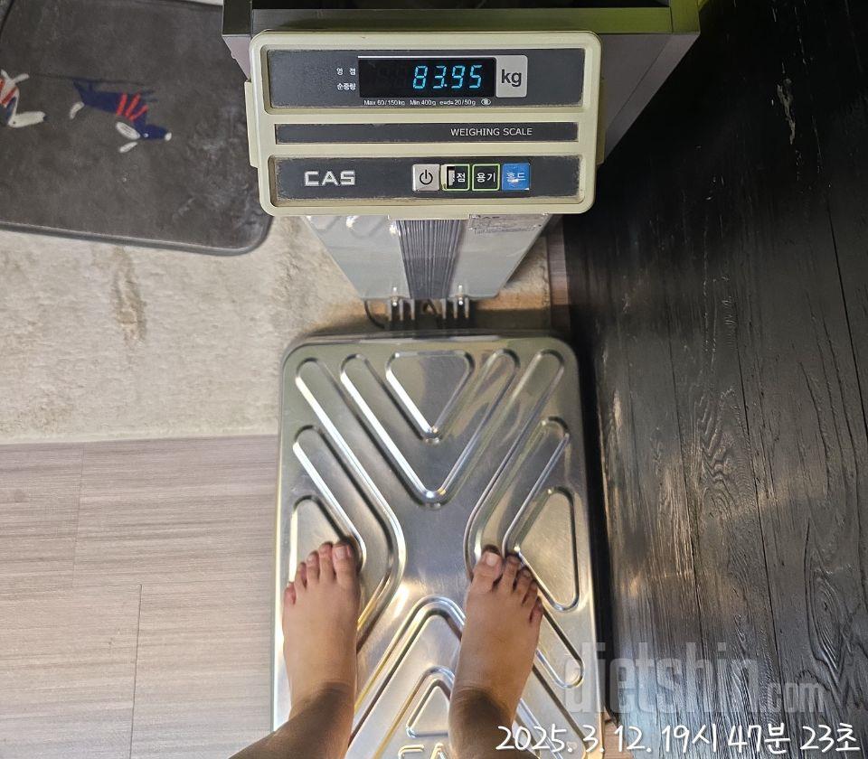 근육량 유지하면서 지방만 빼고싶어 디