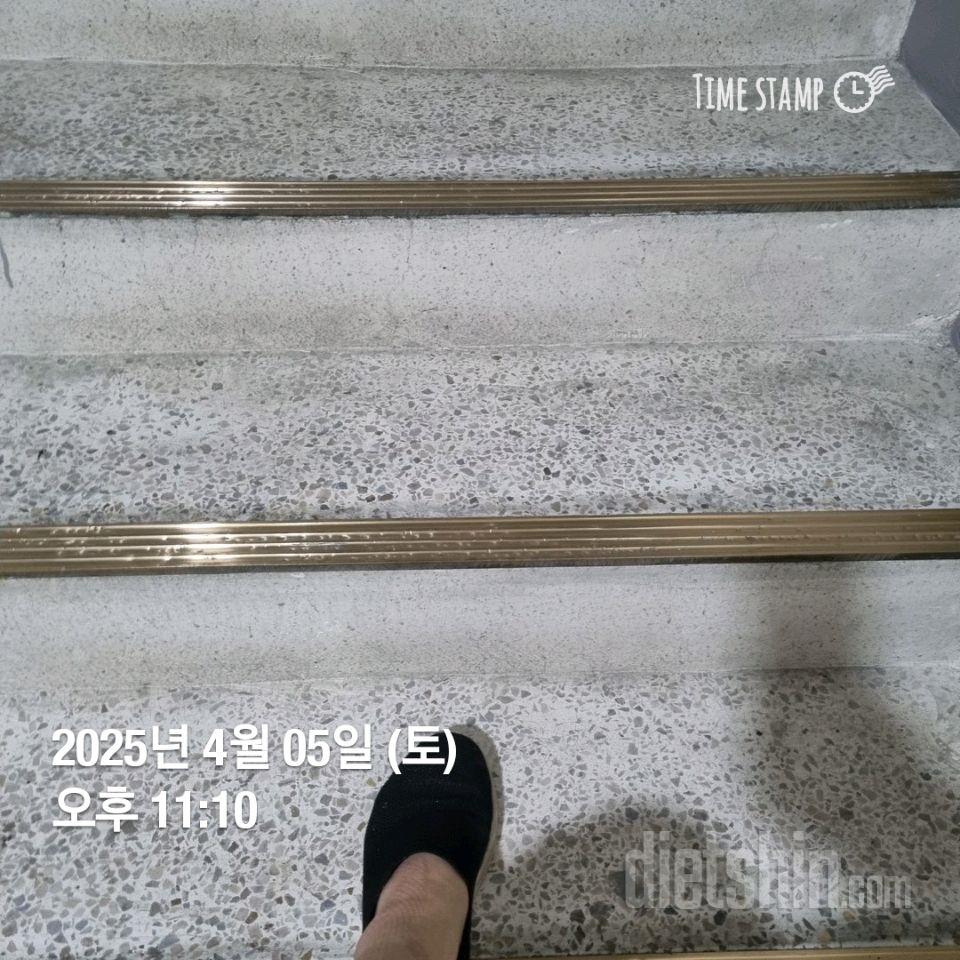 15일 계단 오르기10일차 성공!