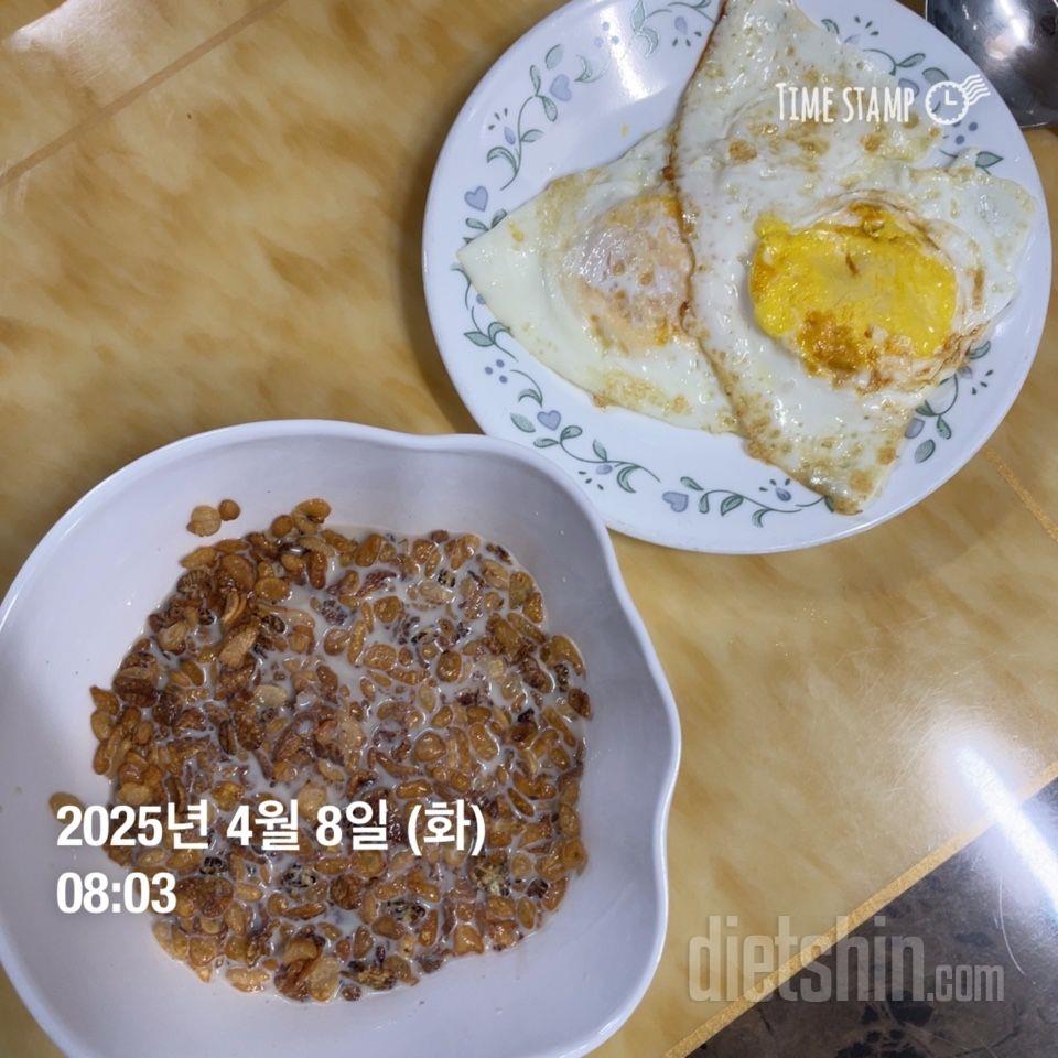 4/8(화) 식단운동