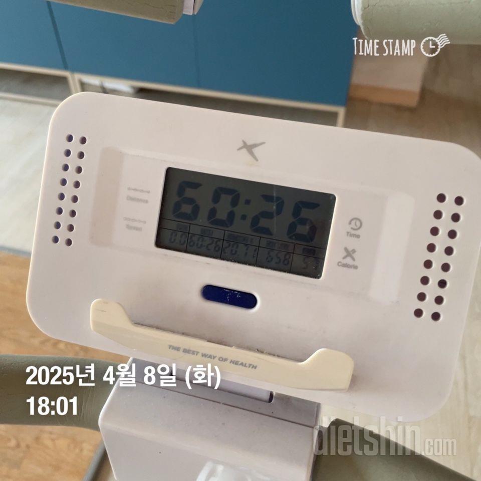 4/8(화) 식단운동
