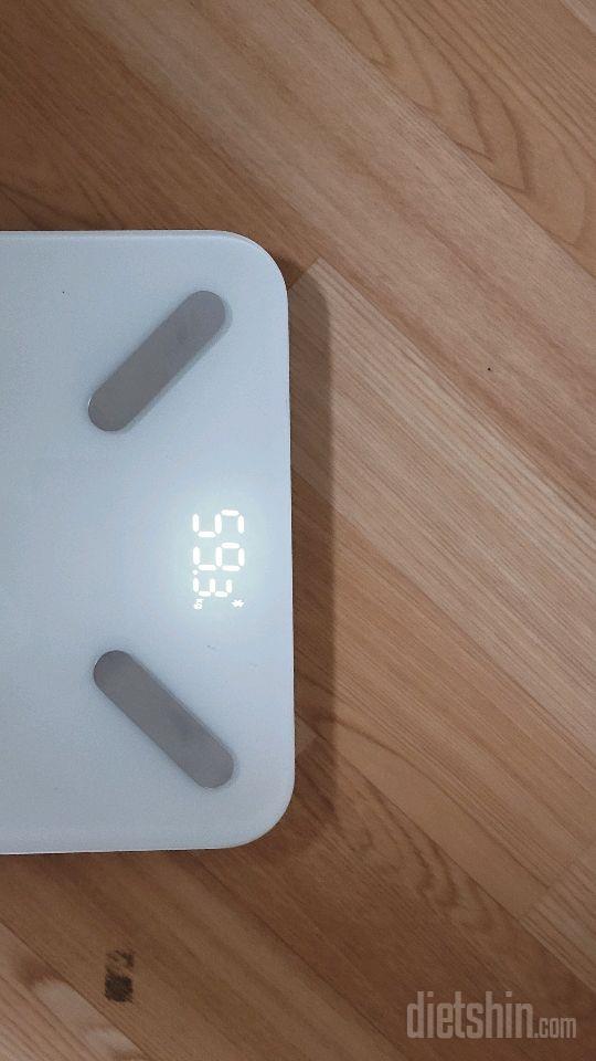 7일 아침 몸무게 재기533일차 성공!