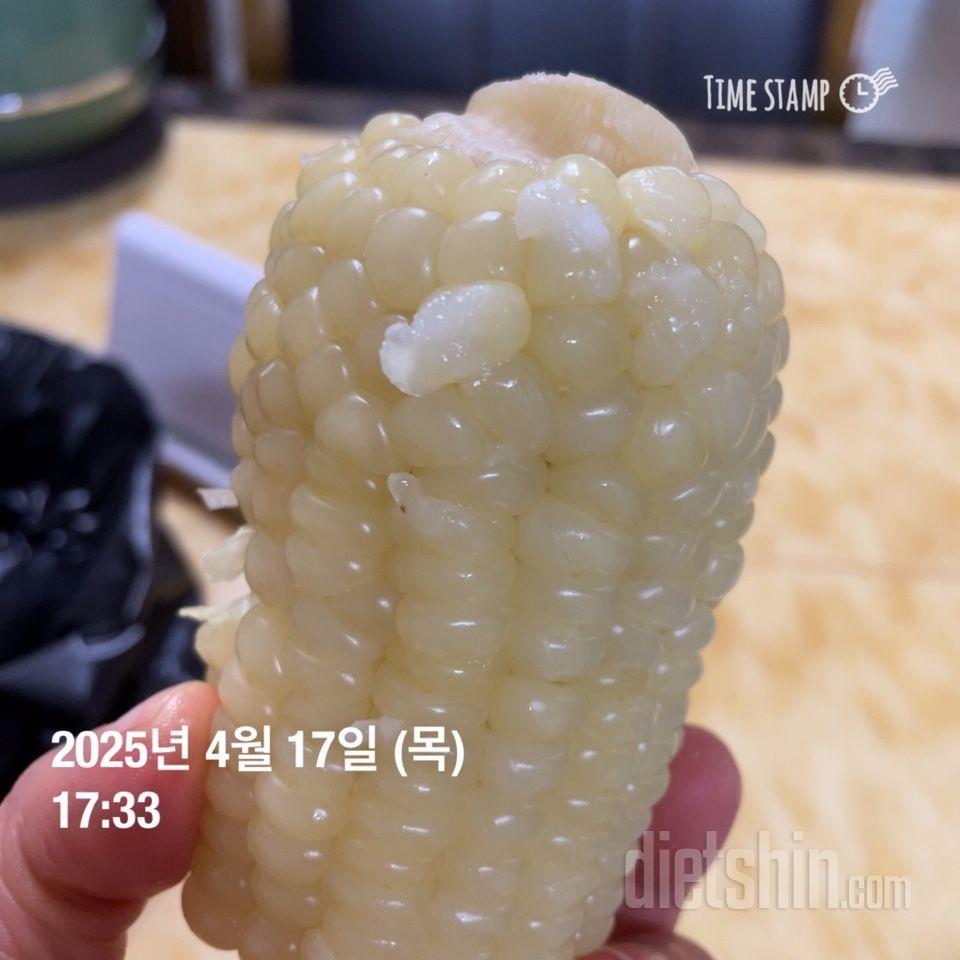 4/17(목) 식단운동