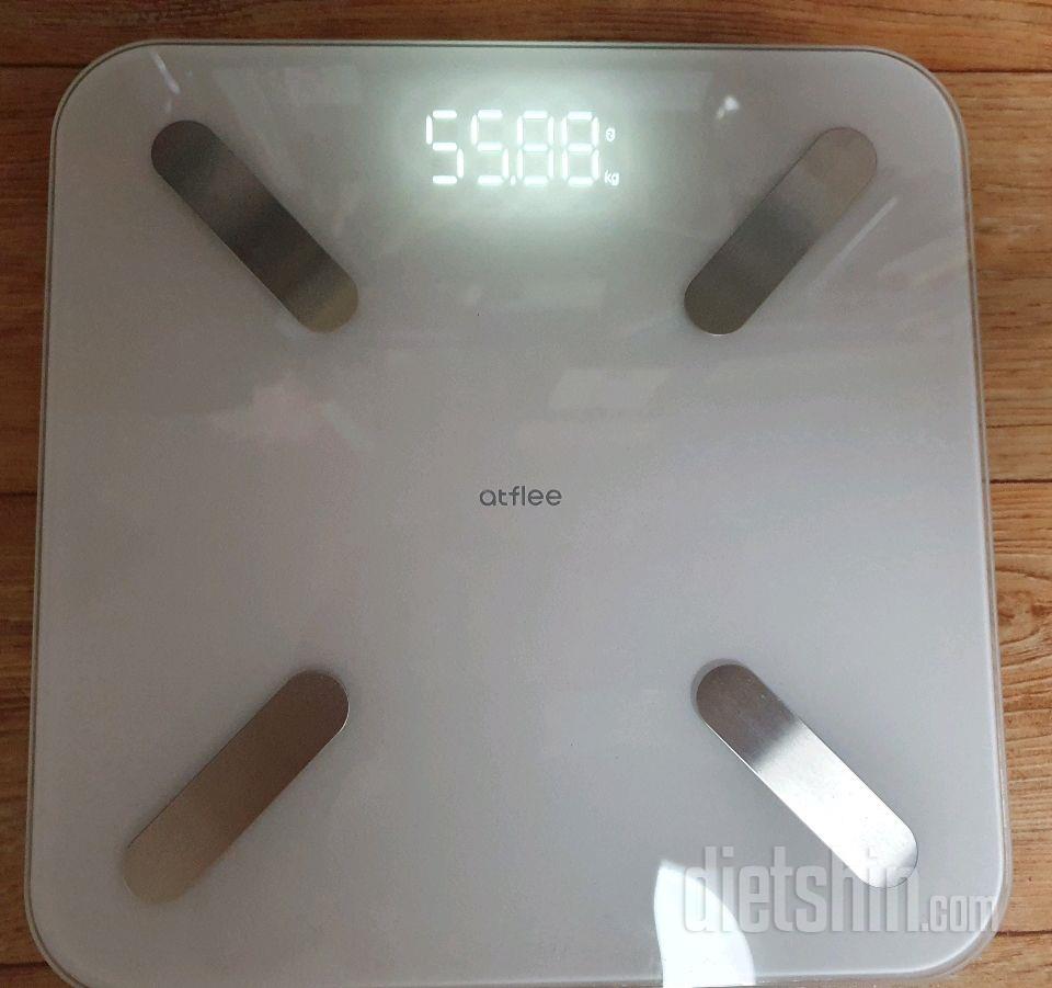4월 19일 공체