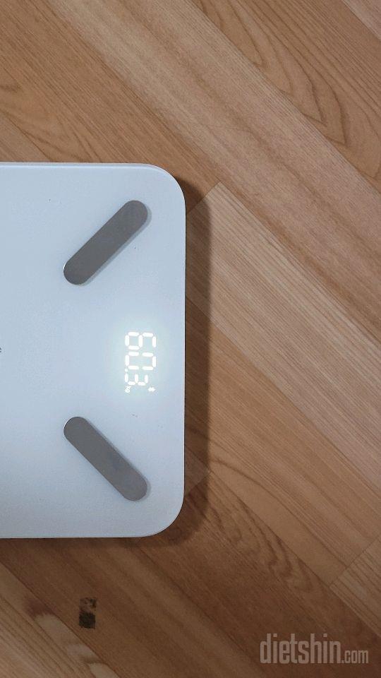 7일 아침 몸무게 재기534일차 성공!