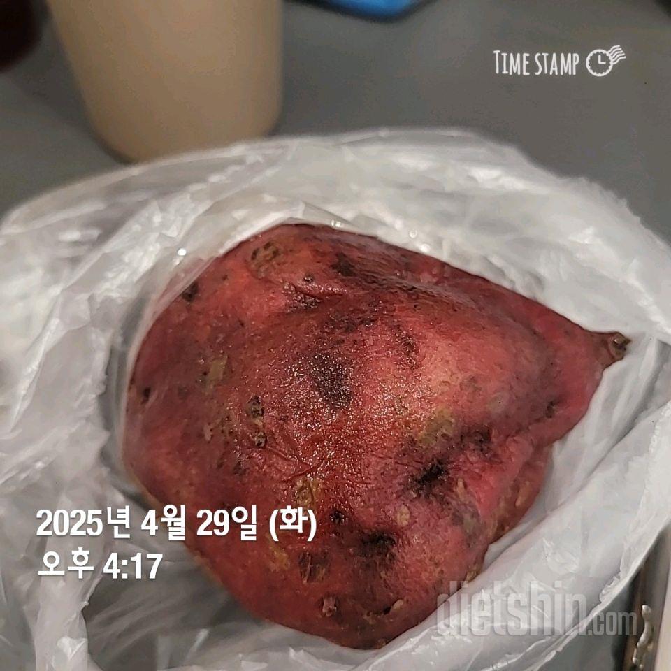 240일차