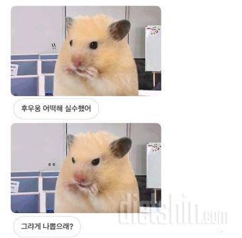다신현미밥상 다이어트 도시락을 통해