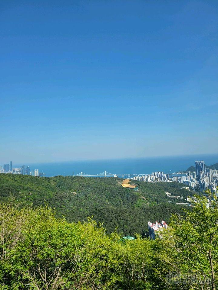 177일차