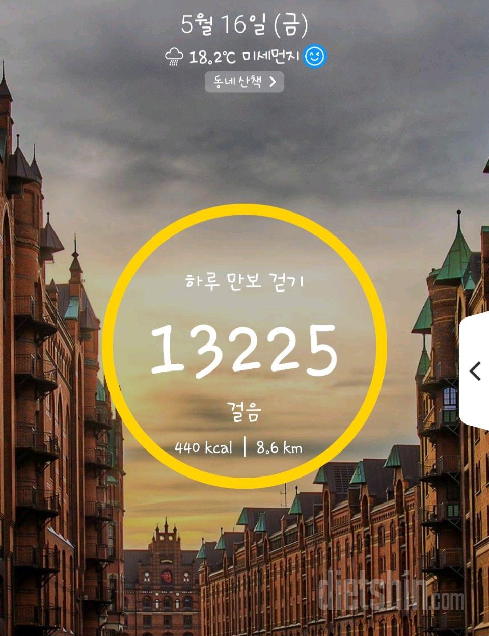 9일차 16/8(0)
