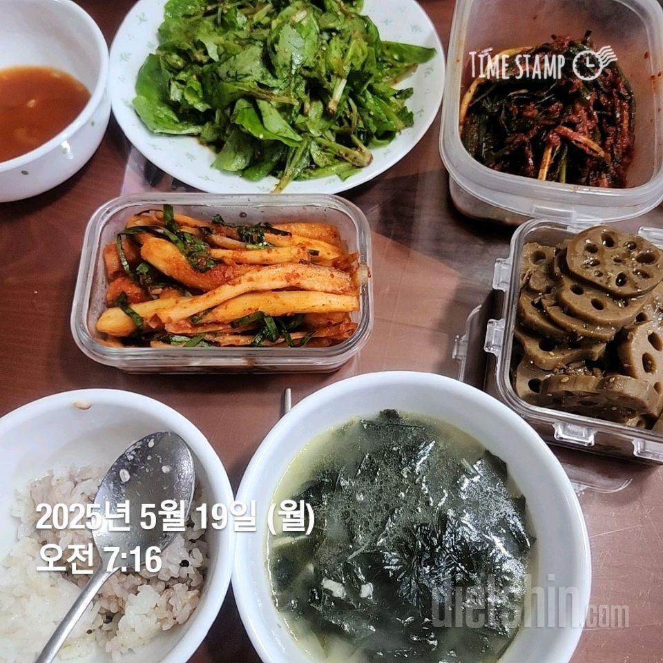 7일 하루 1끼 야채먹기421일차 성공!