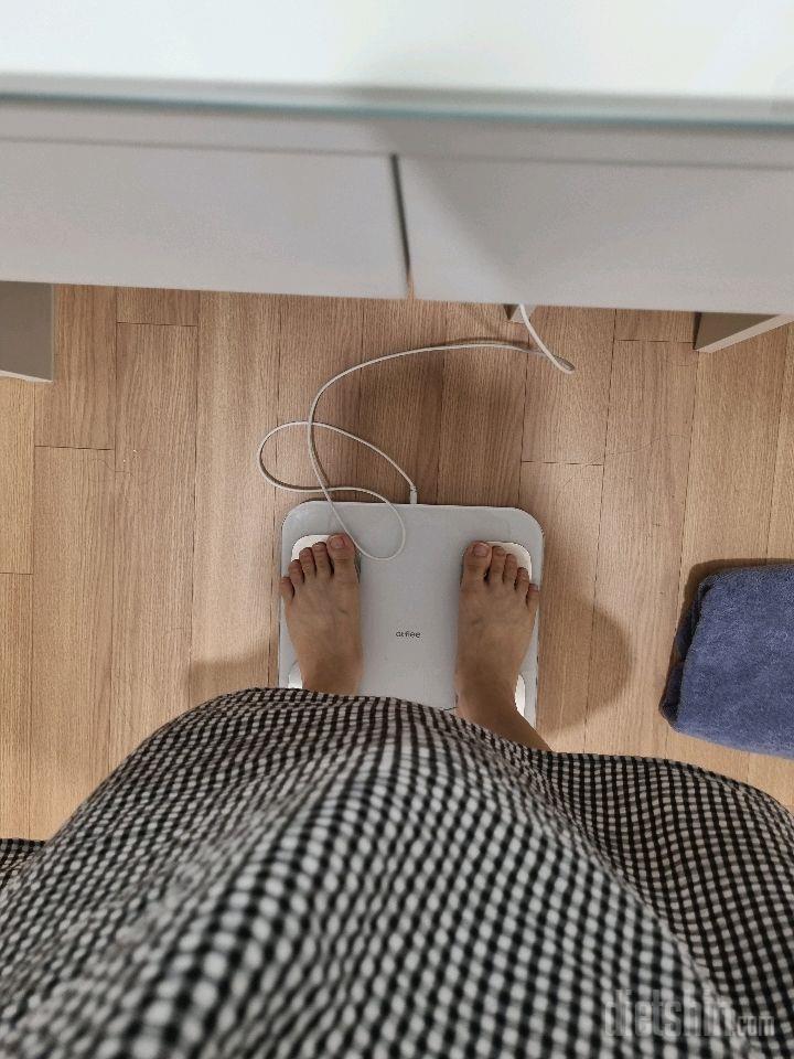 7일 아침 몸무게 재기2일차 성공!
