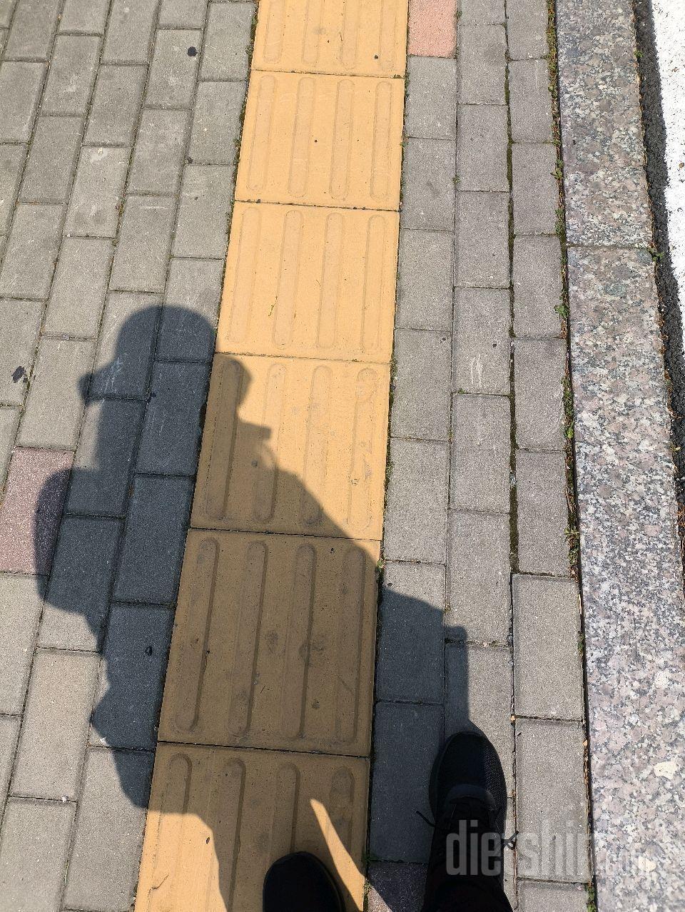 5월25일 식운