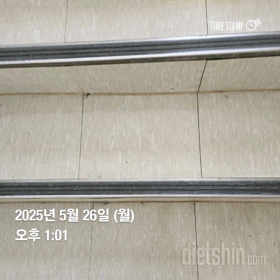 15일 계단 오르기4일차 성공!