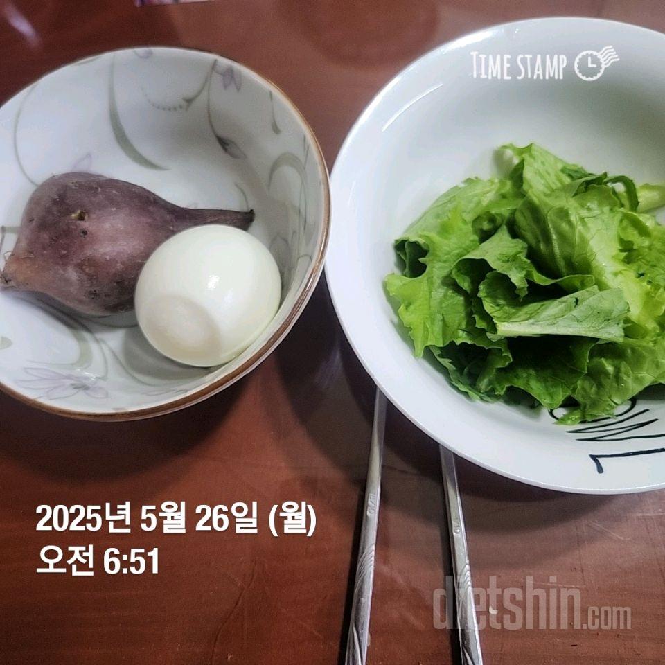 7일 하루 1끼 야채먹기428일차 성공!