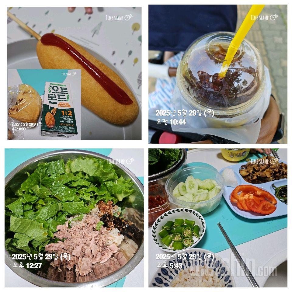 5/29일 식단