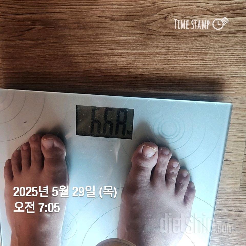 7일 아침 몸무게 재기438일차 성공!