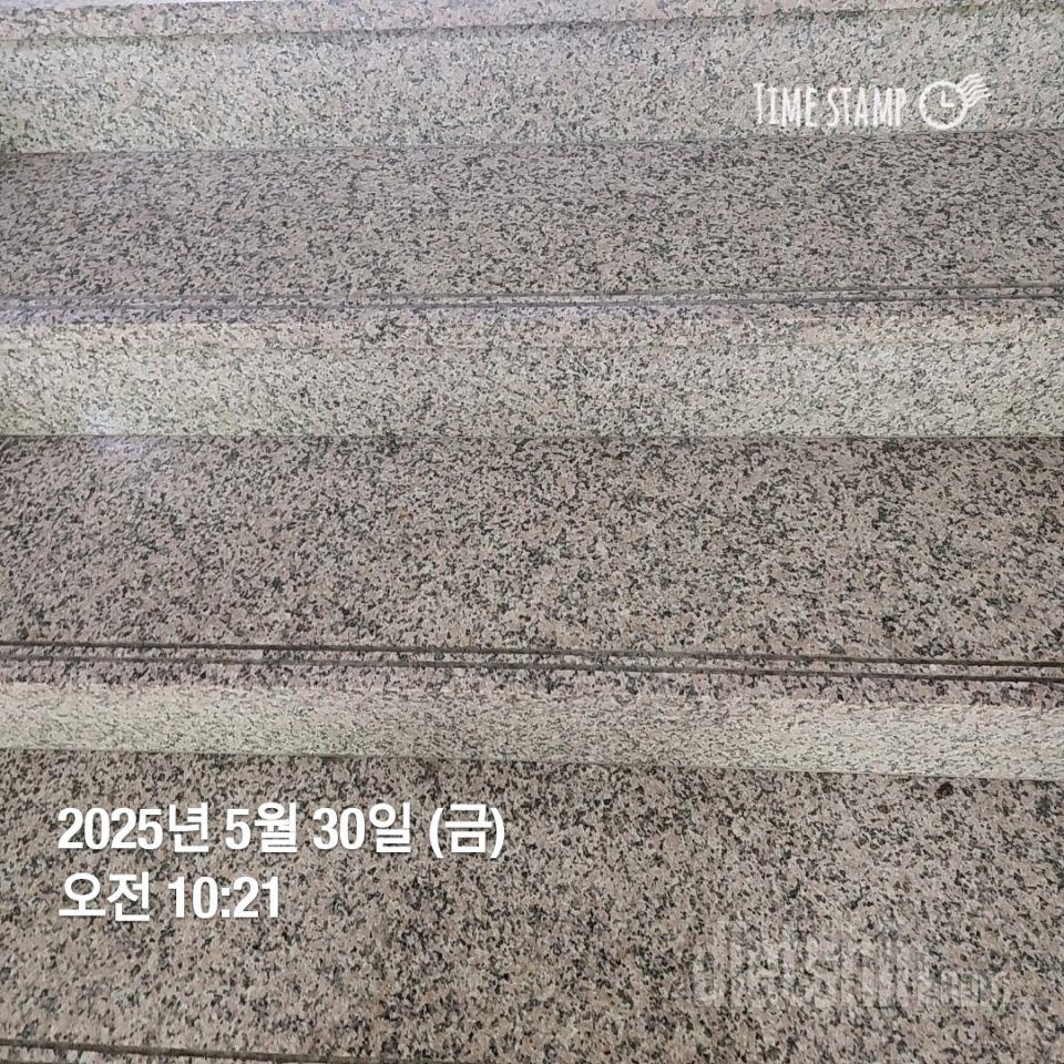 15일 계단 오르기227일차 성공!