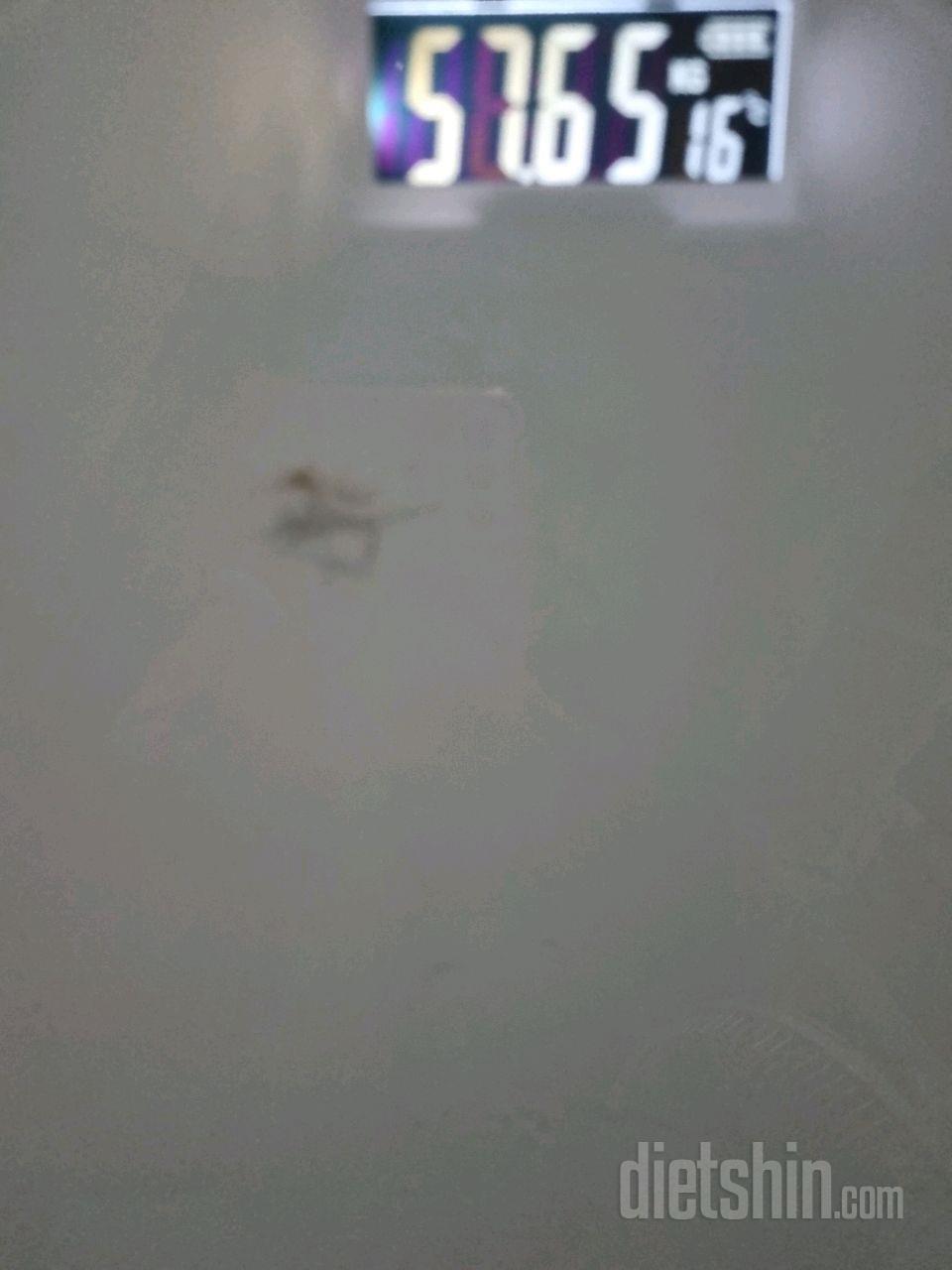 7일 아침 몸무게 재기5일차 성공!