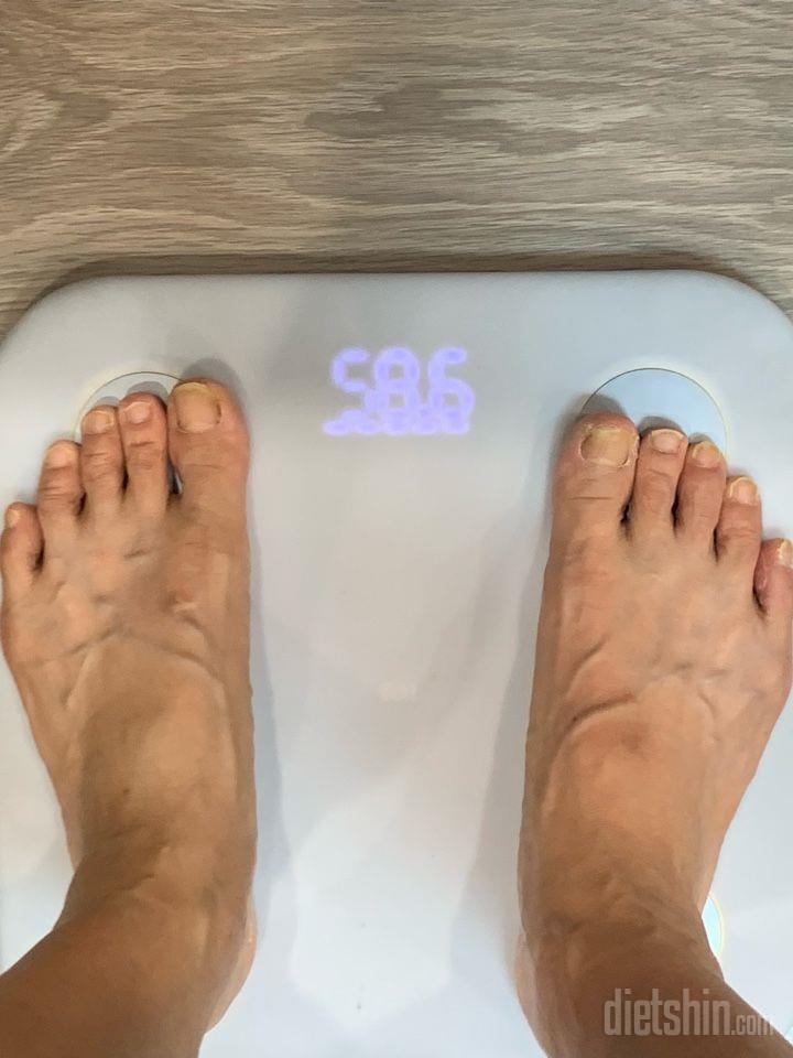 7일 아침 몸무게 재기6일차 성공!
