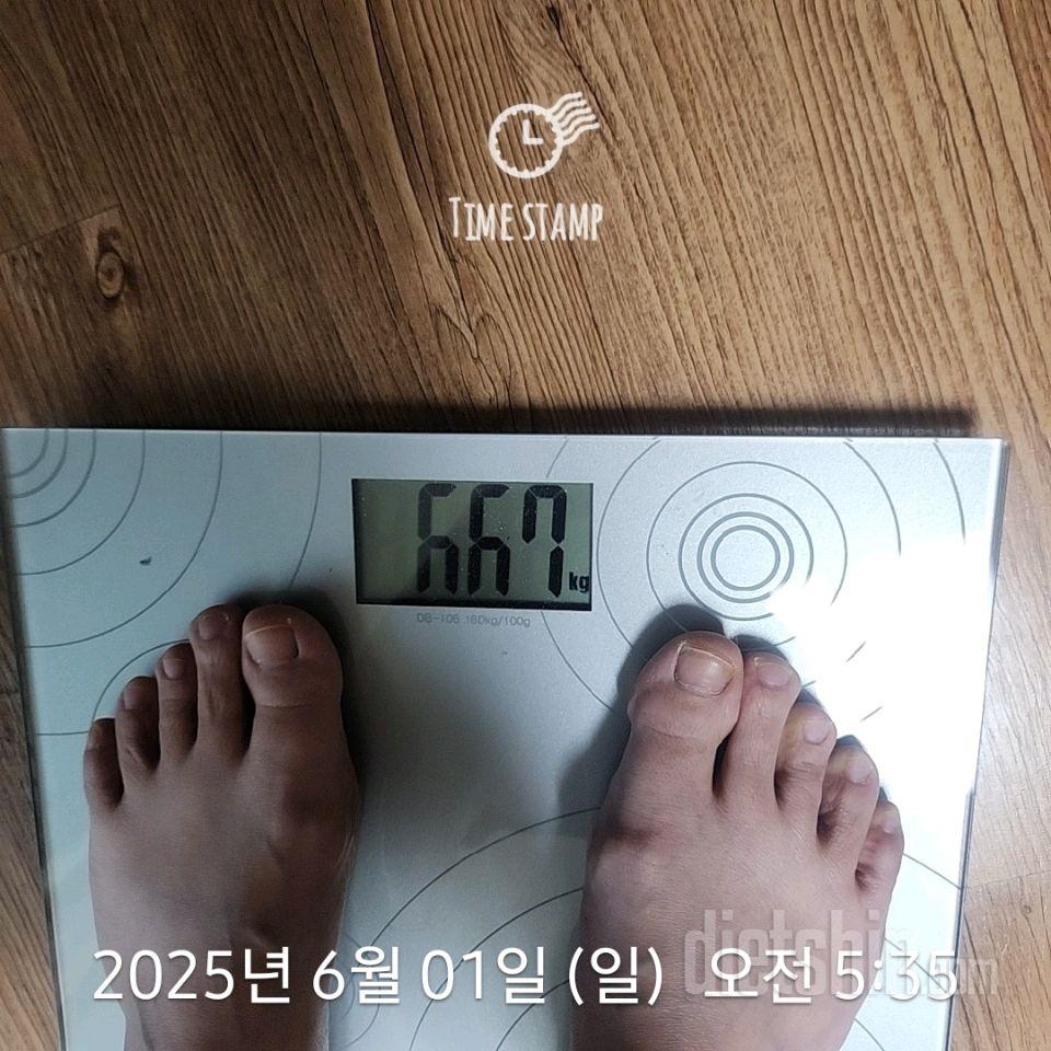 7일 아침 몸무게 재기441일차 성공!