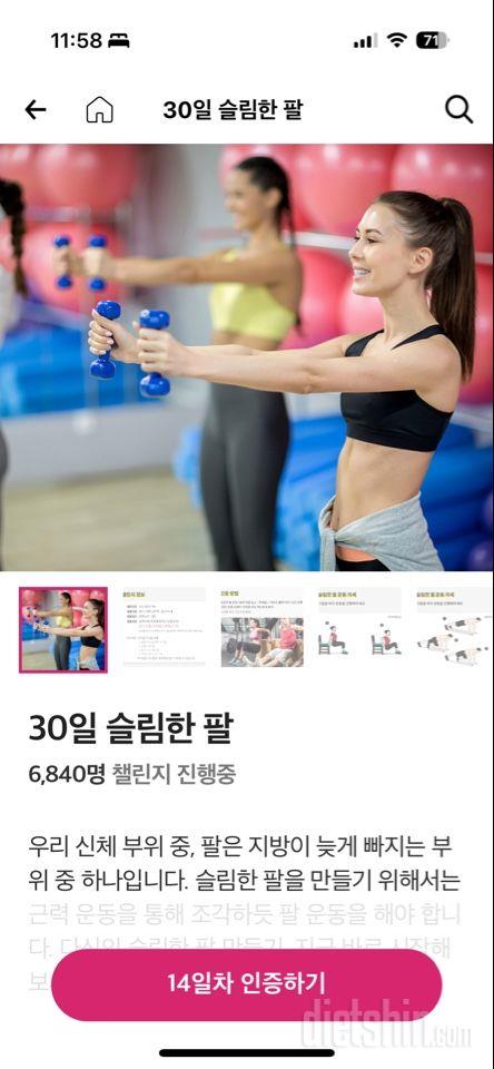 30일 슬림한 팔14일차 성공!