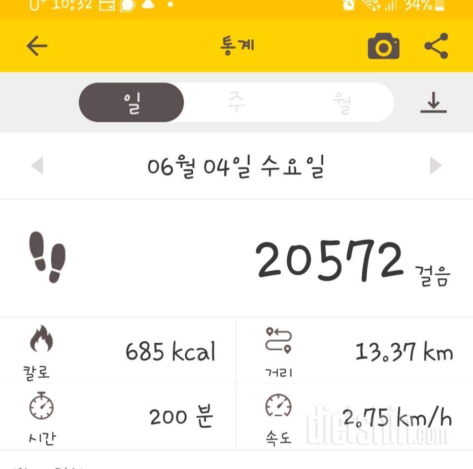 28일  16/8(0)