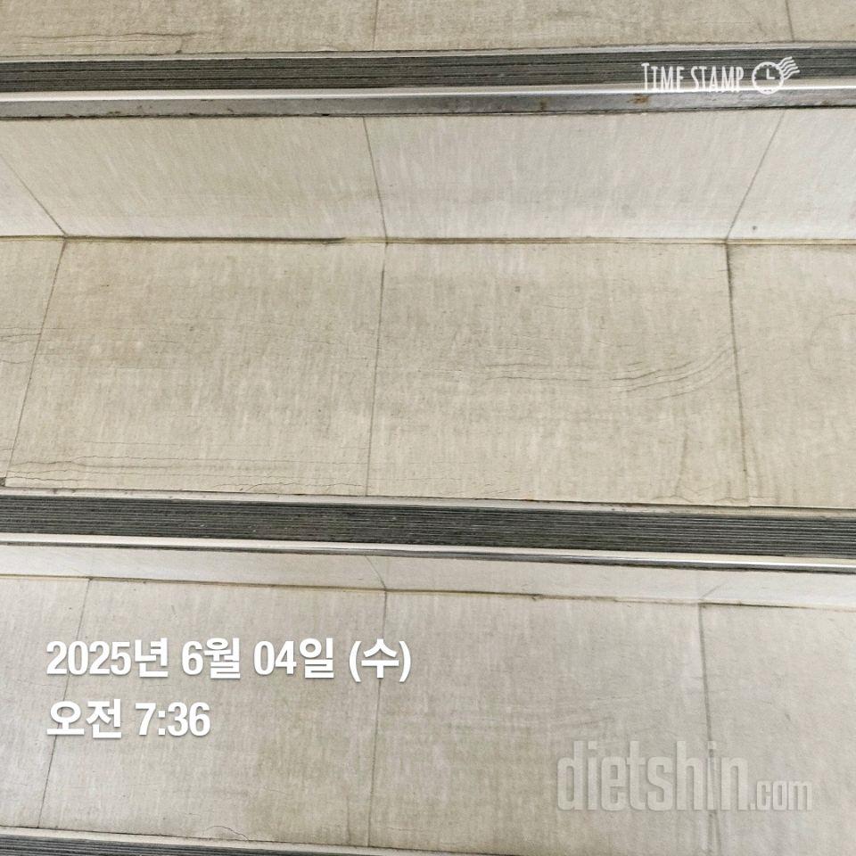 15일 계단 오르기4일차 성공!