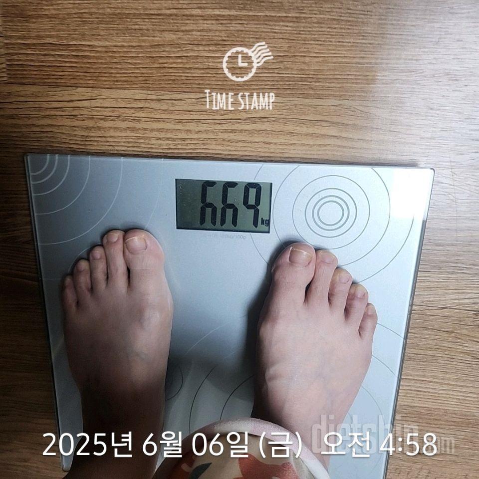7일 아침 몸무게 재기446일차 성공!