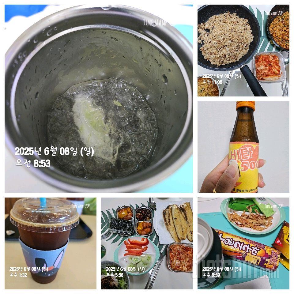 6/8일 식단