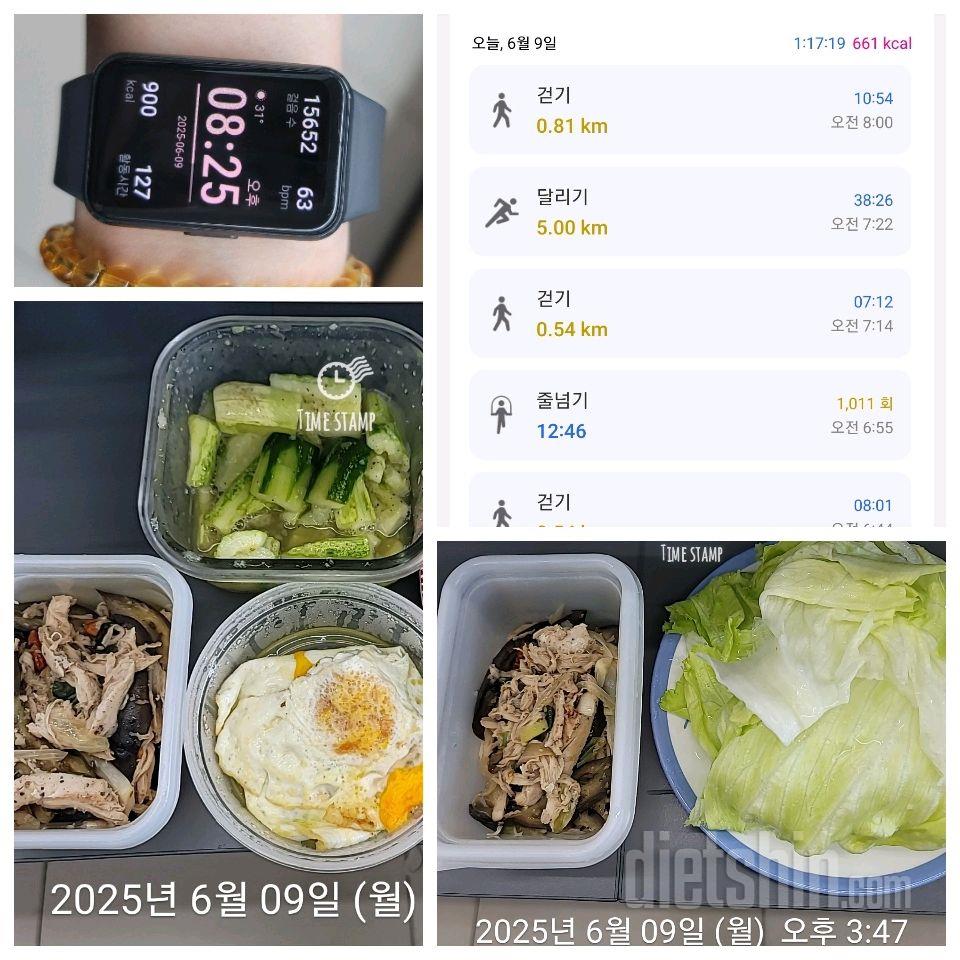 9일