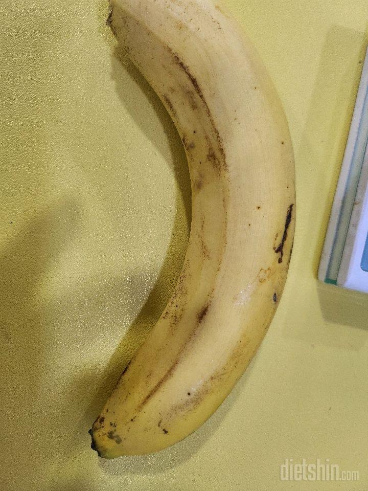 진짜 1일차