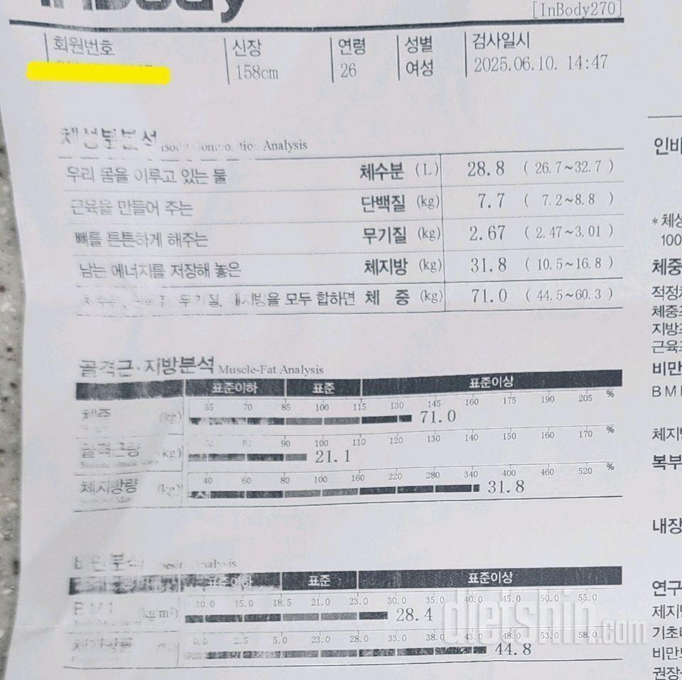 🫶오랜만에 인사드립니당🫶(왜...31일에 올린 글이 없을까여...😱)